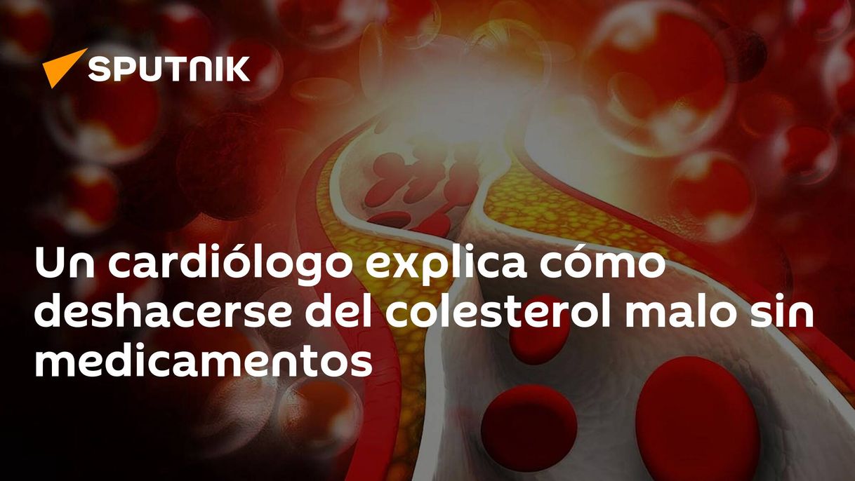 Social Cómo deshacerse del colesterol malo sin medicamentos