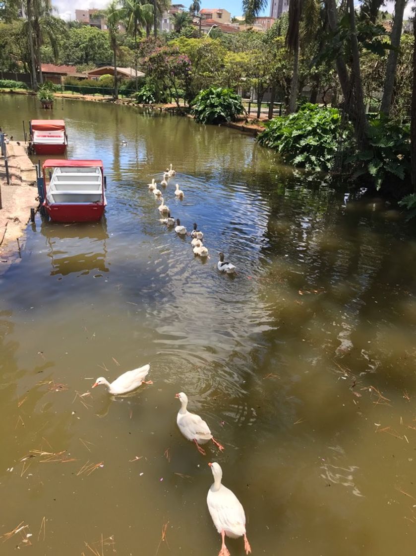 Place Poços de Caldas
