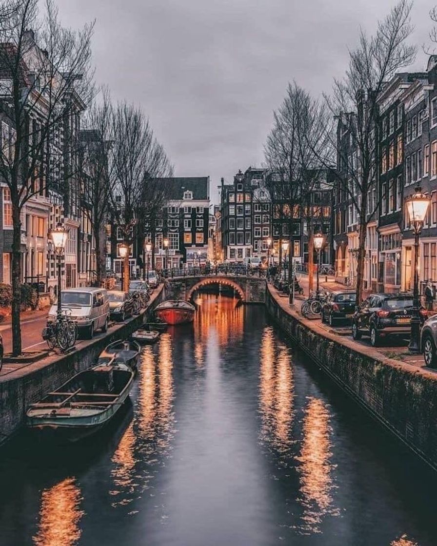 Moda Amsterdam 