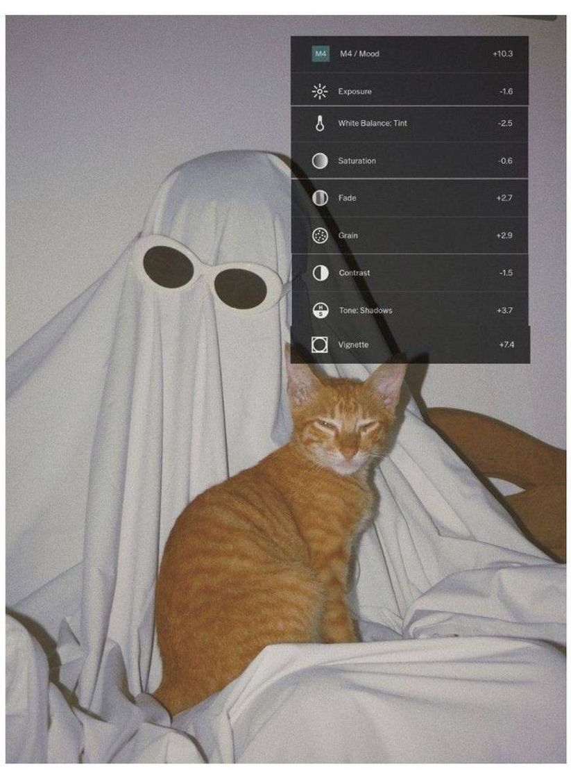Social Vsco