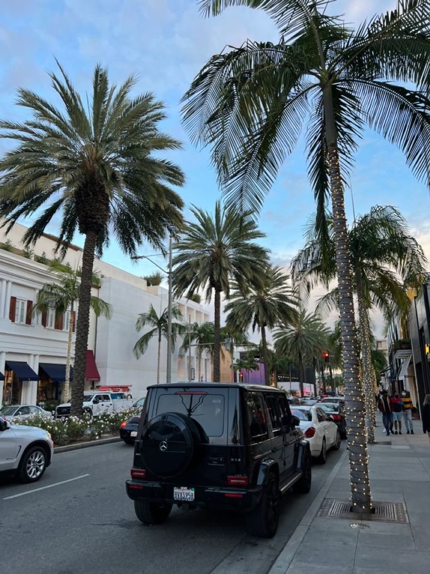 Place Beverly Hills