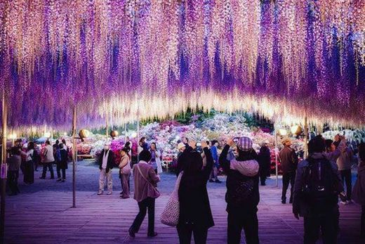 Ashikaga Flower Park