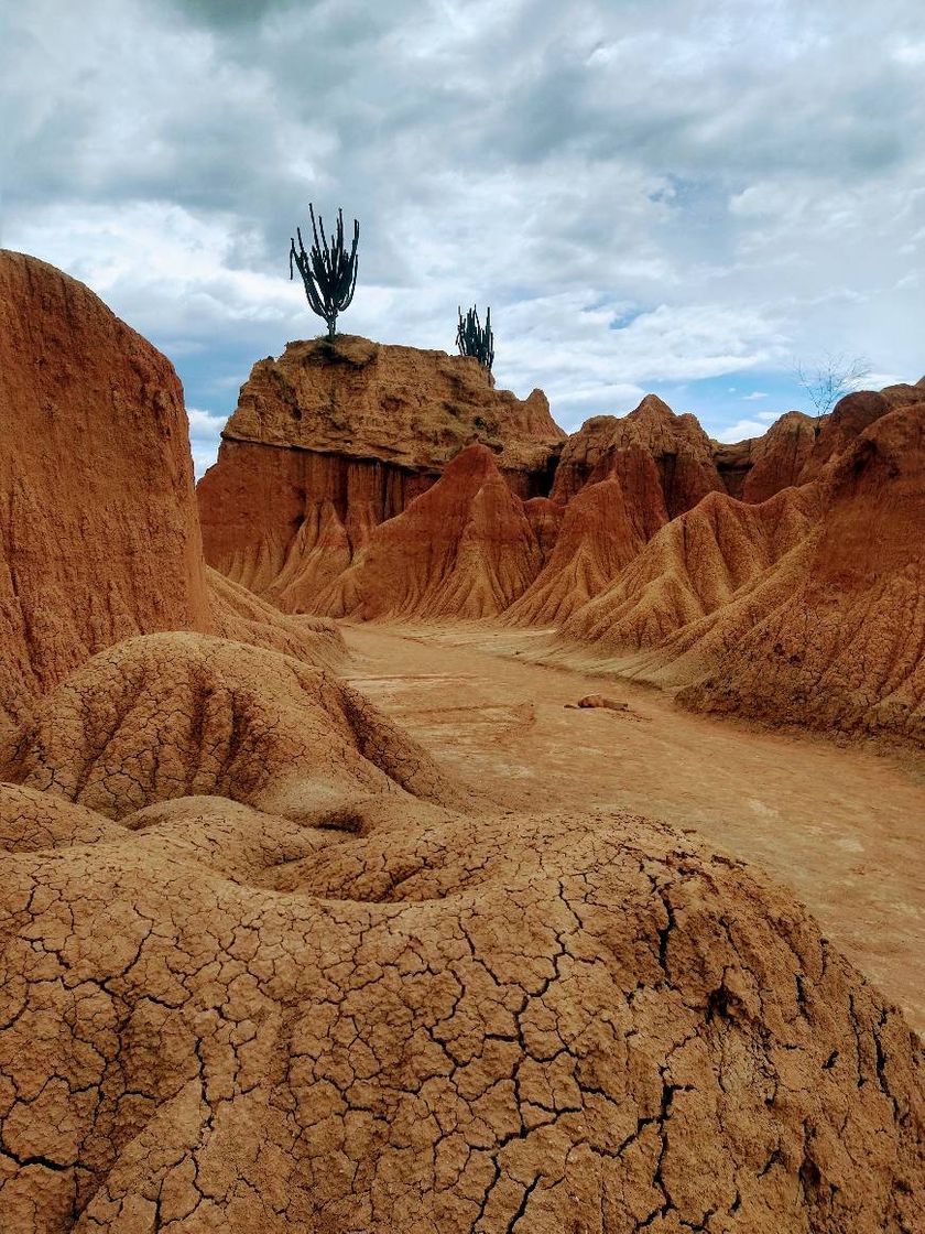 Desierto de la Tatacoa