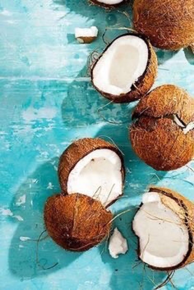 Fashion fundo de coco 🥥🤎