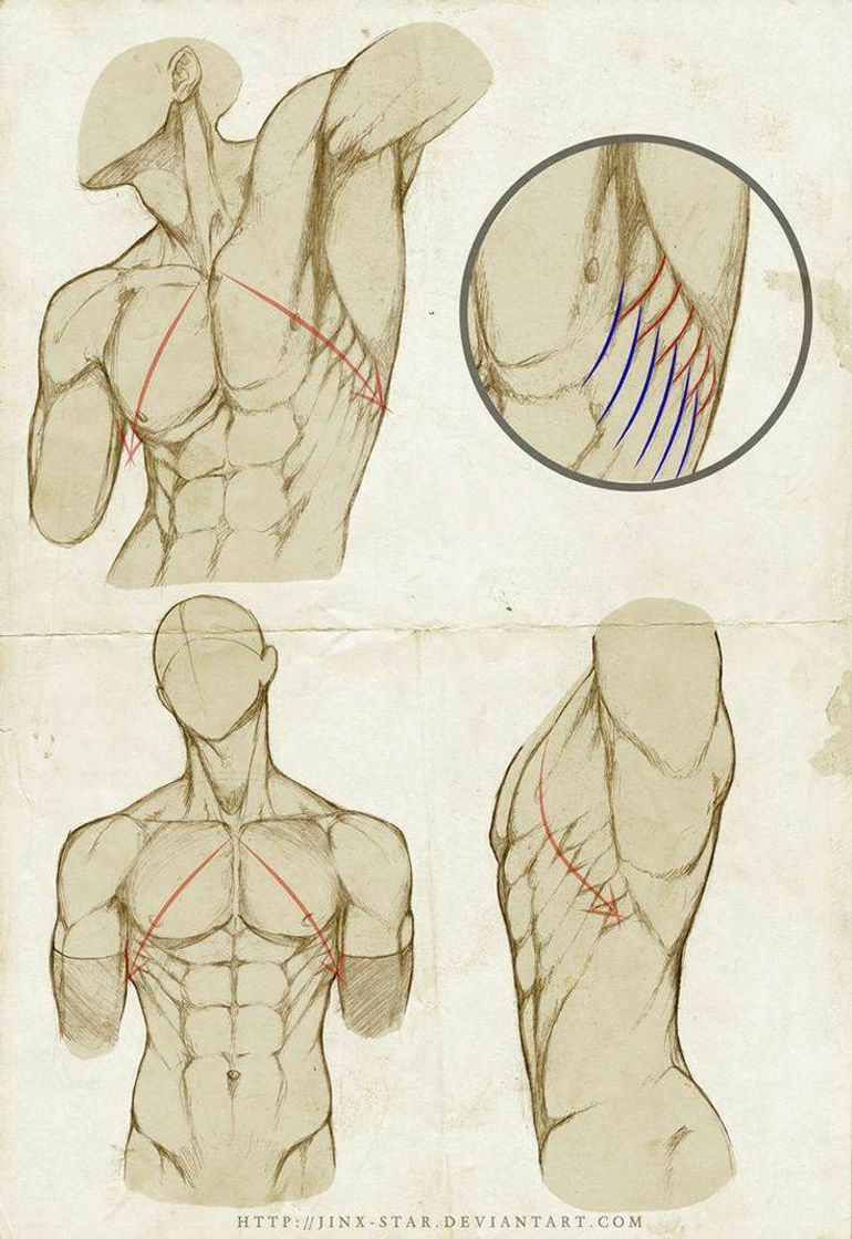 Moda Como desenhar um corpo