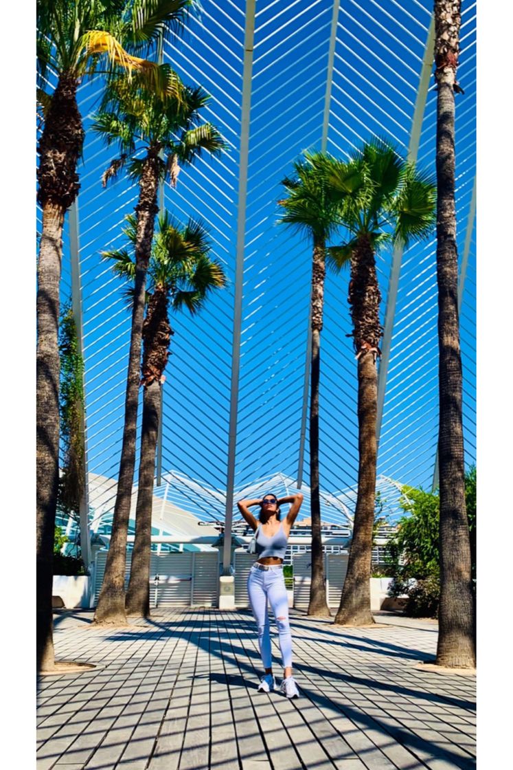 Place Ciudad de las Artes y las Ciencias