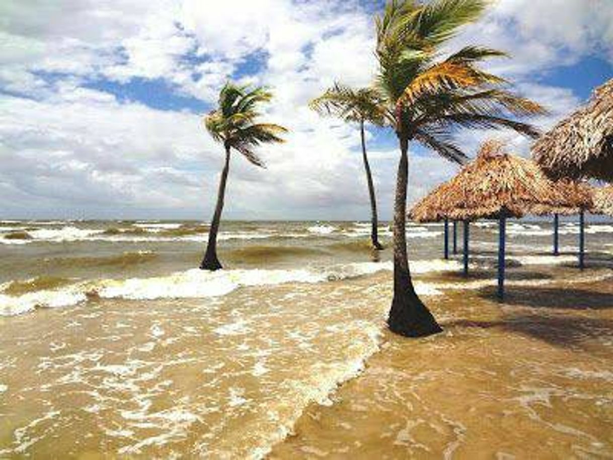 Restaurants Ilha do Marajó