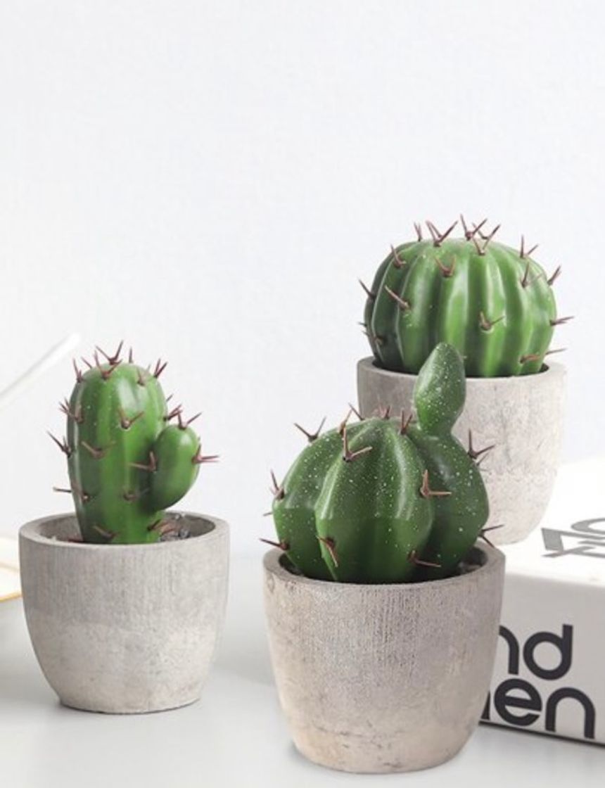 Moda Artificial Potted Cactus 1pc | SHEIN USA