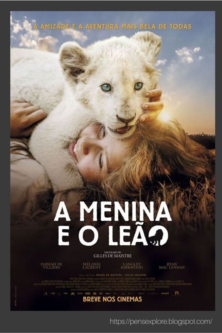 Moda A menina e o leão 🦁