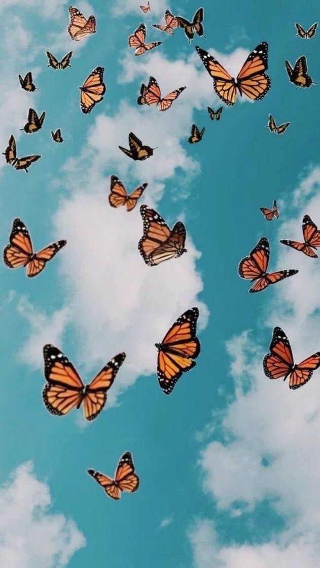 Moda BUTTERFLY🦋