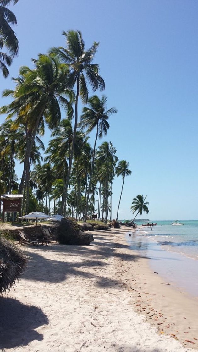 Place Praias do Guarujá