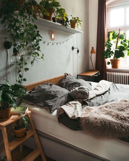 Plants in Bedroom 