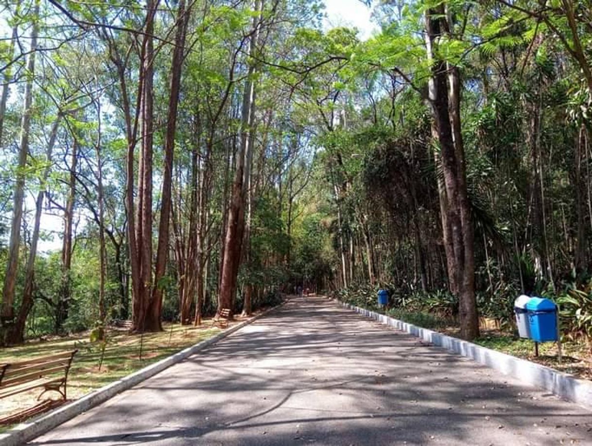 Lugar Parque Natural Chico Mendes