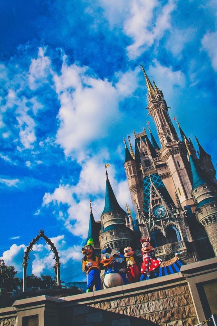 Social Disney 🎀