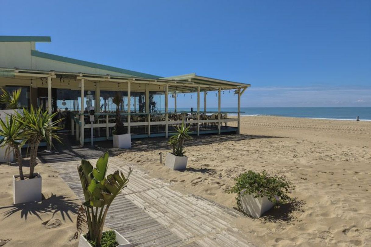 Restaurantes Potito Beach