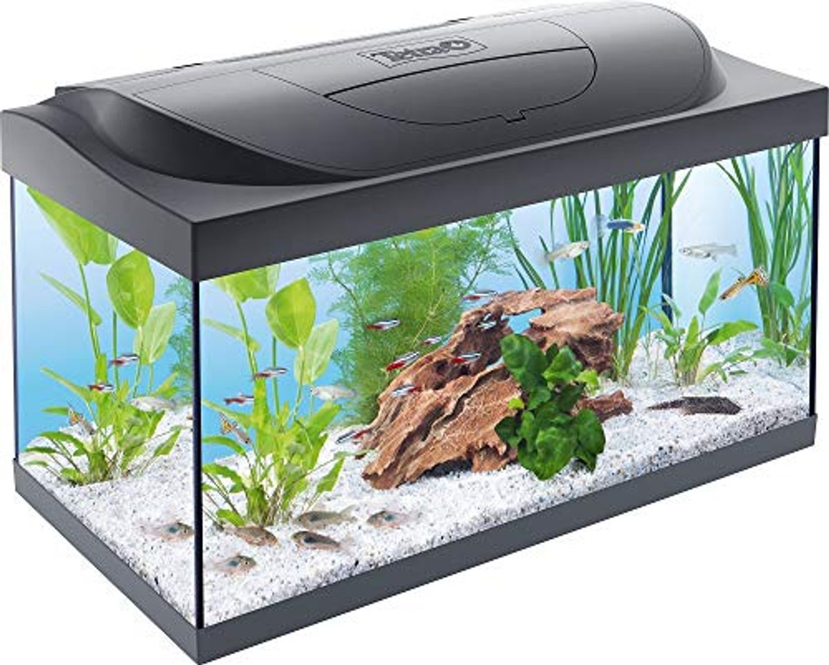 Tetra Acuario Tetra Starter Line LED 54L 54 L