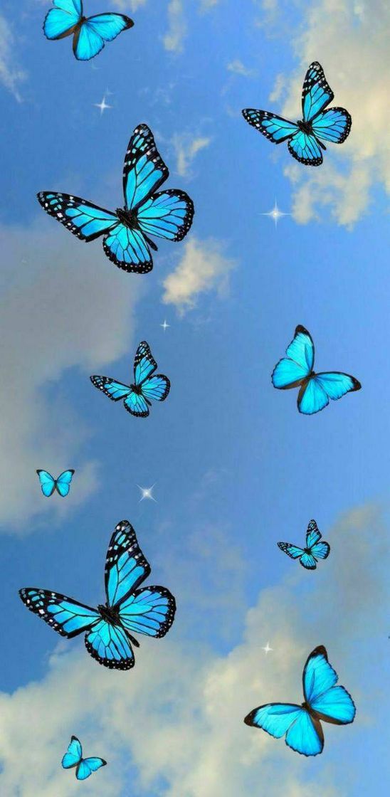 Social Wallpaper borboleta 🦋