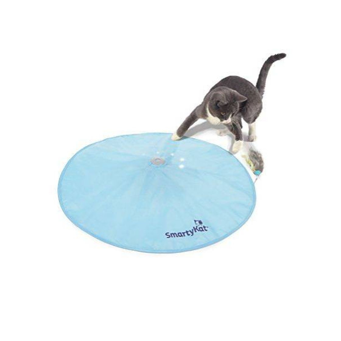 Social Brinquedo que encoraja o seu gato a se exercitar
