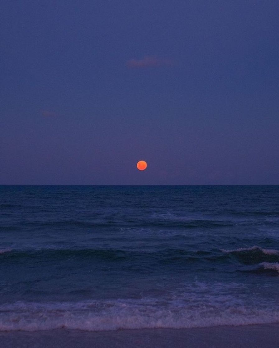 Moda 🌊🌕