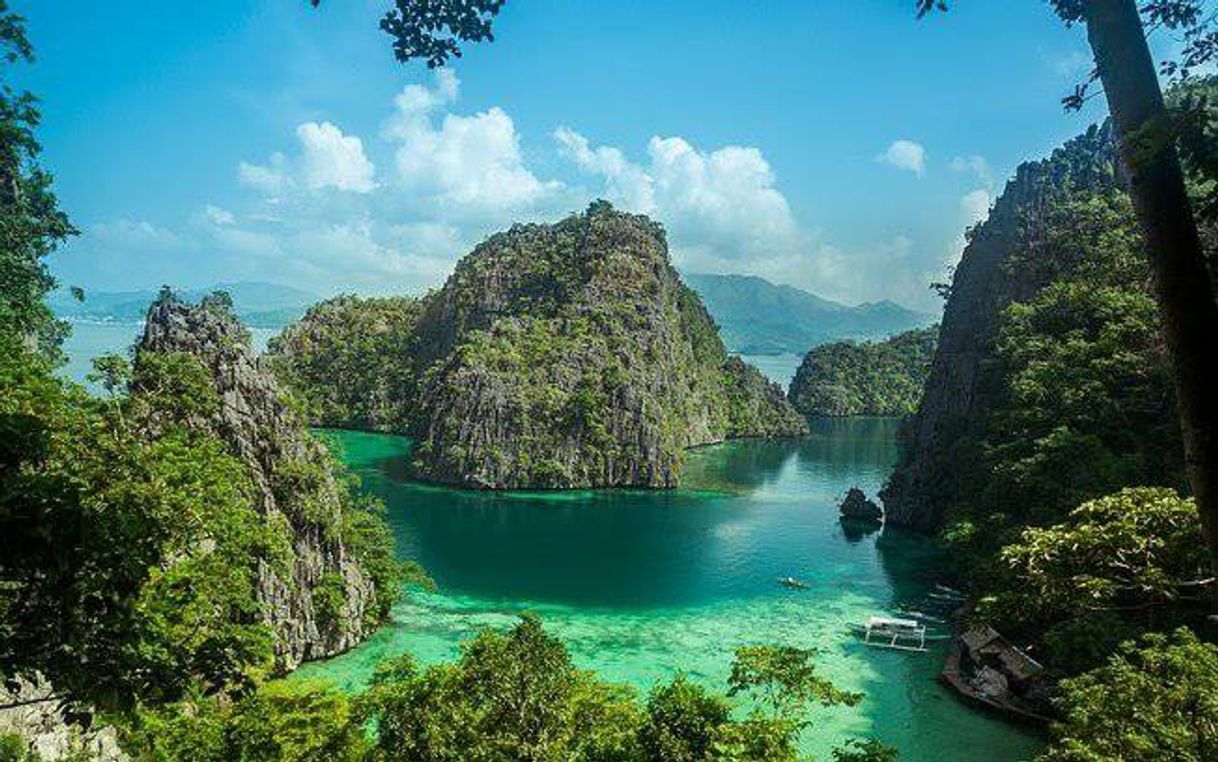 Moda Palawan - Filipinas 