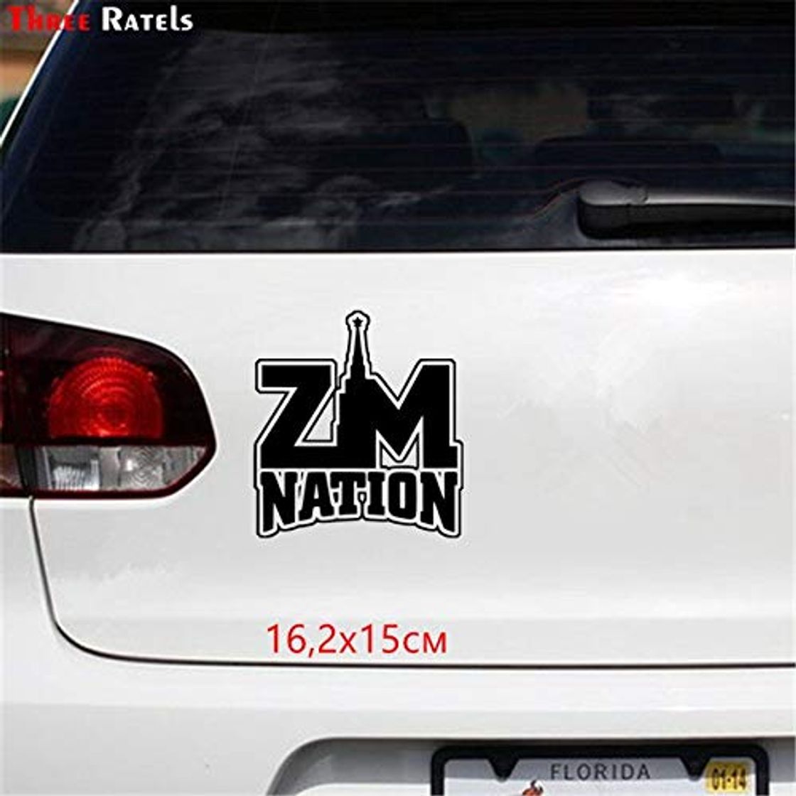 Productos RSZHHL Sticker de Carro TZ-1100 16