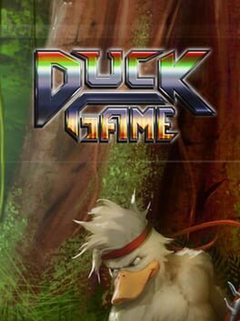 Videogames Duck Game