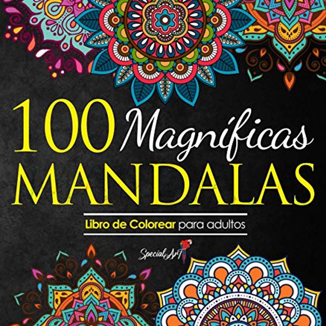 Book 100 Magnificas Mandalas: Libro de Colorear