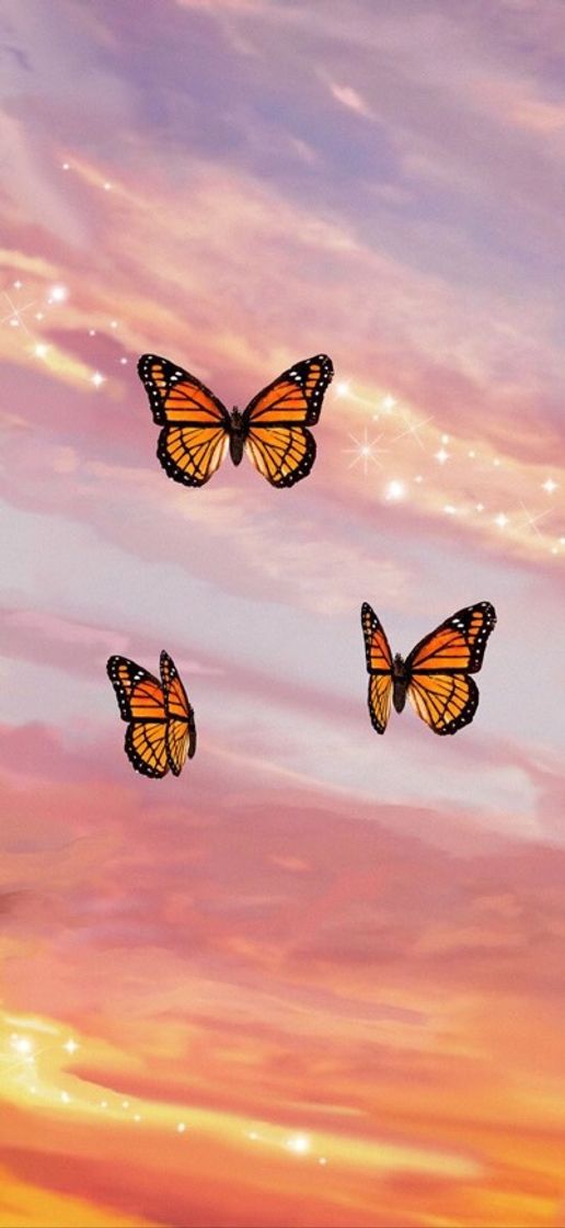 Fashion Sunset Butterfly 🦋✨🌅