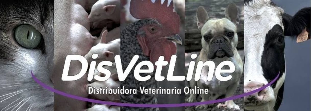 Fashion Distribuidora Veterinaria Online