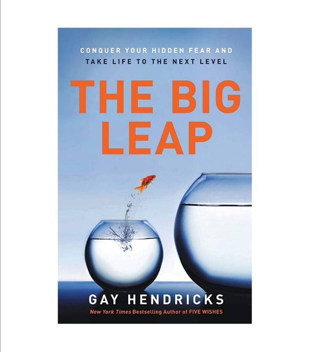 Libro The big leap