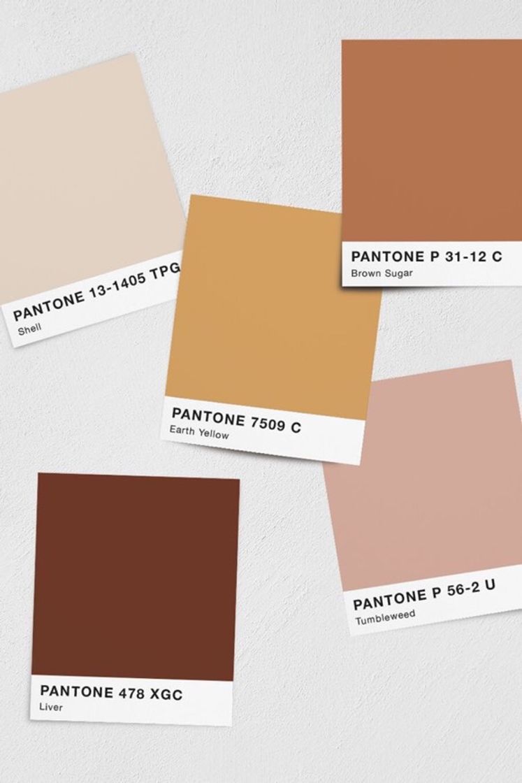 Fashion Pantone 