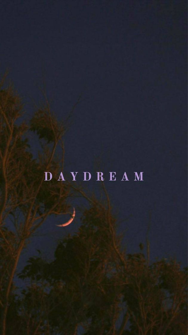 Social 💭DAYDREAM💭