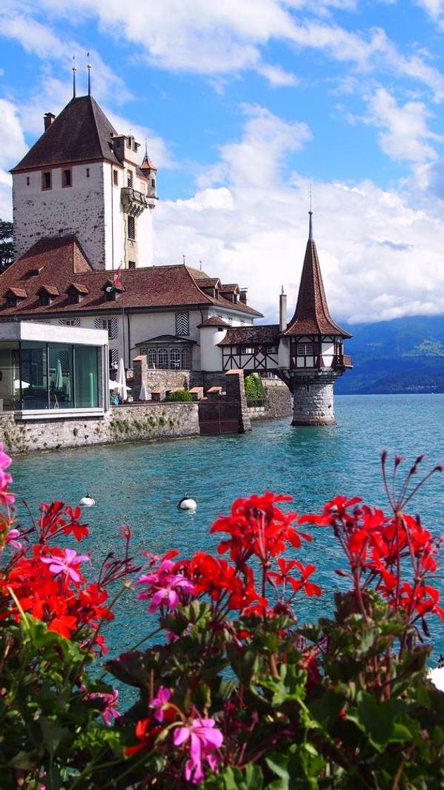 Place Suiza