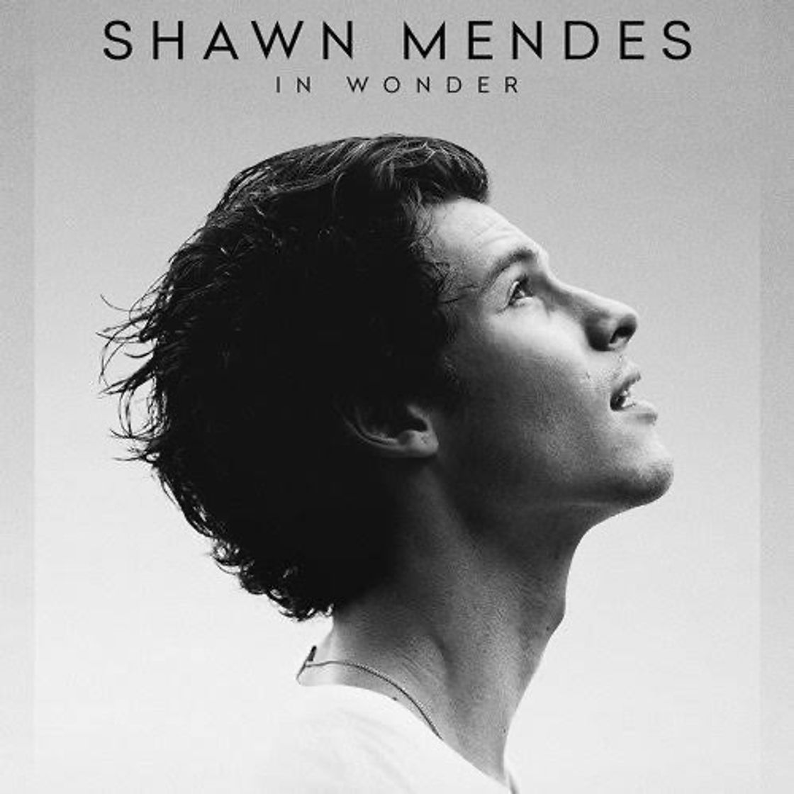 Películas Shawn Mendes: In Wonder | Netflix Official Site