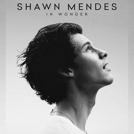 Shawn Mendes: In Wonder | Netflix Official Site