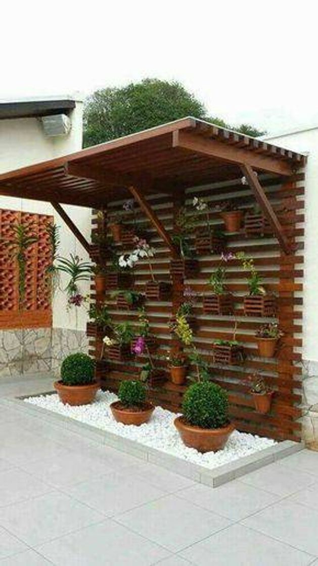 Moda Pergolado com plantas