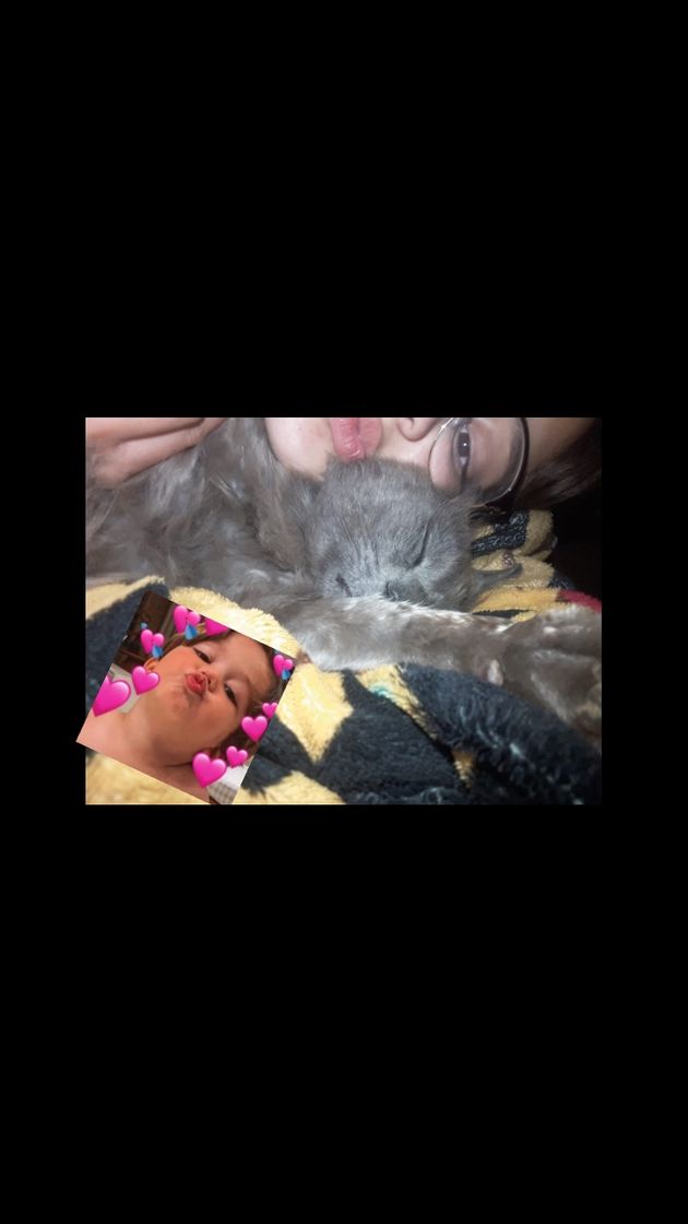 Social Eu de meu chuchu🐱🐈💖