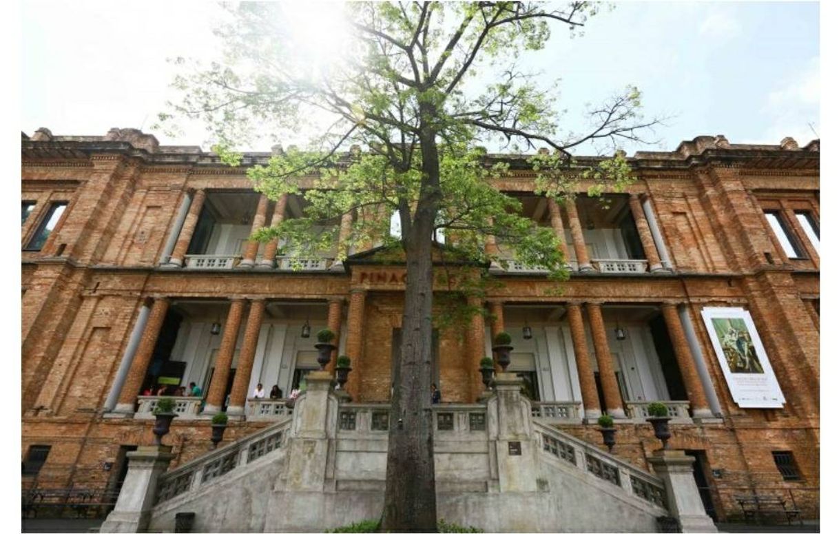 Moda Pinacoteca São Paulo, Brasil