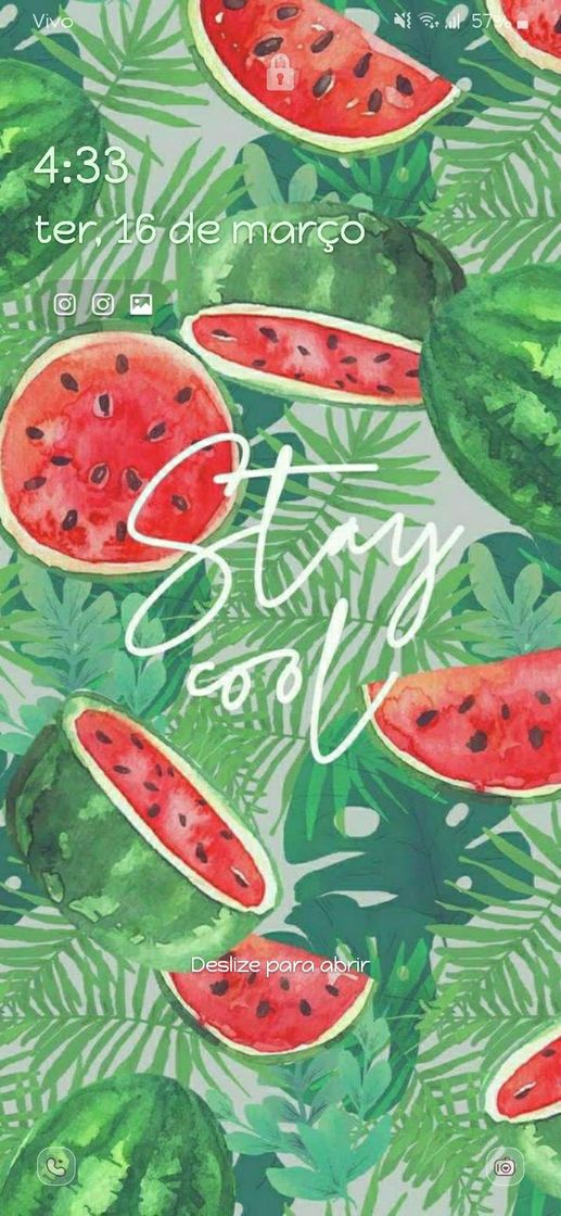 Social 🍉 
