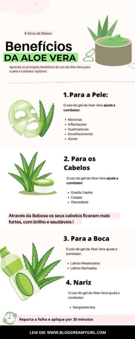 Moda Dica - Formas de usar a babosa 💚