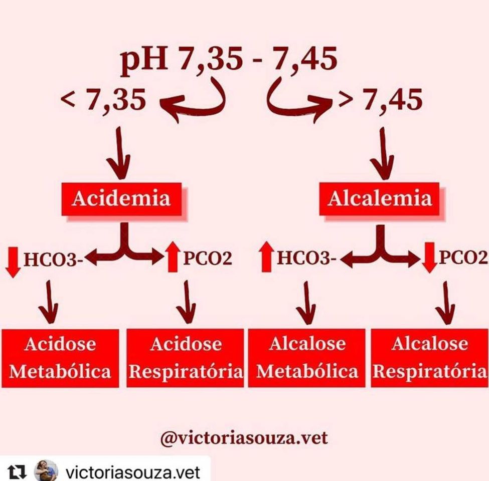 Moda Desequilíbrio ácido-base no organismo