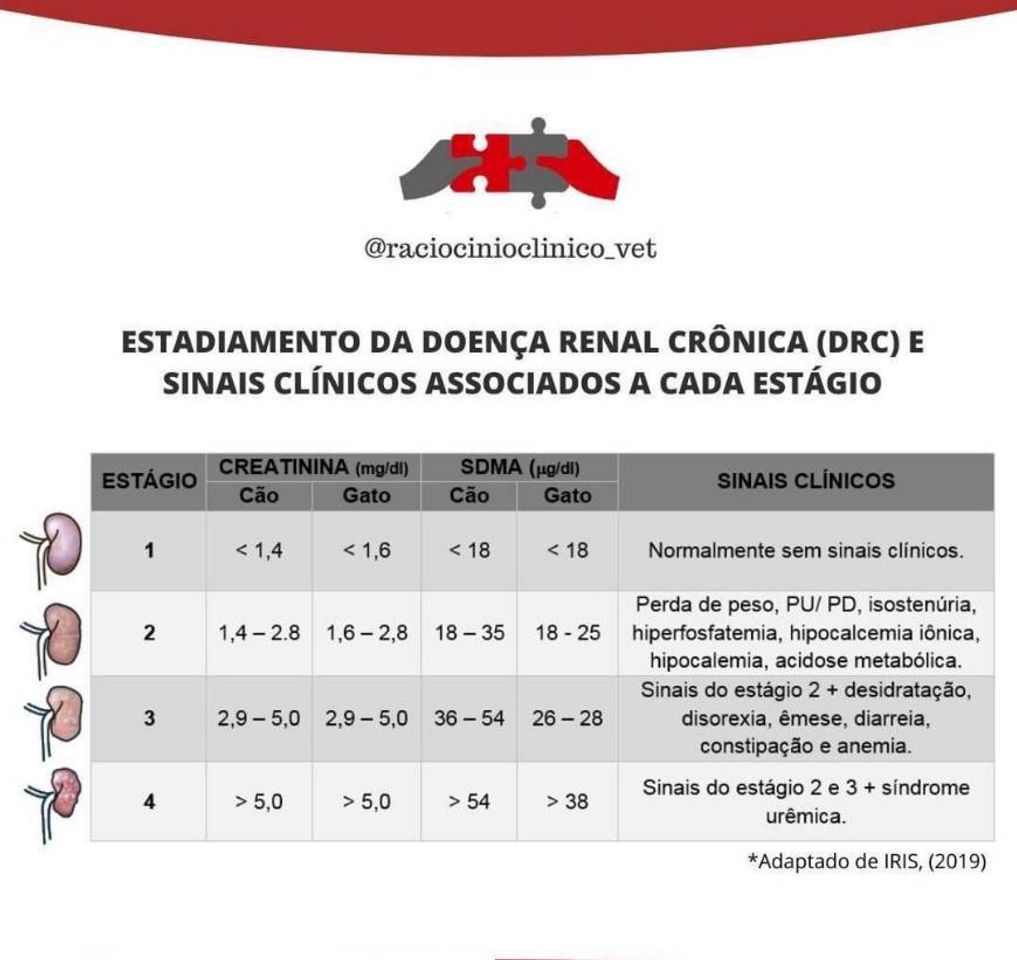 Moda doença renal crônica