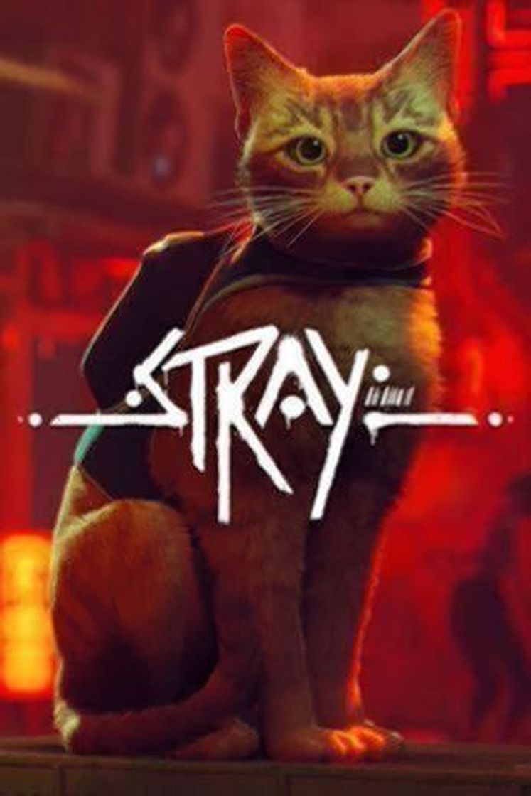Videogames Stray - El gato callejero