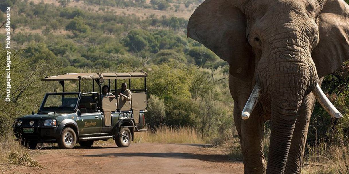 Places Pilanesberg National Park