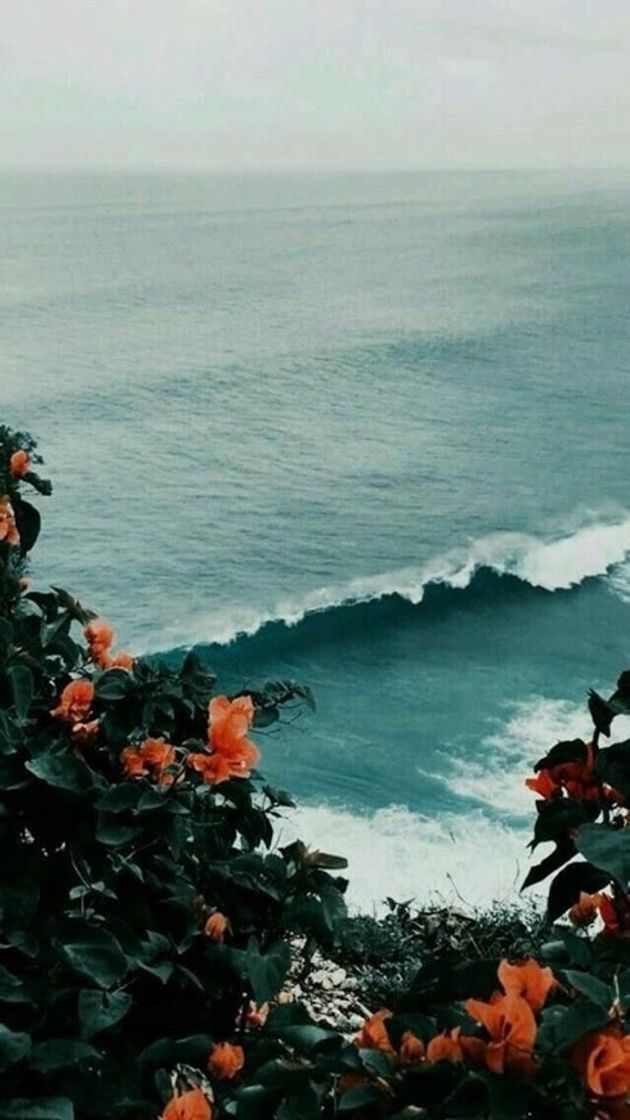 Fashion Wallpaper sea 🌊