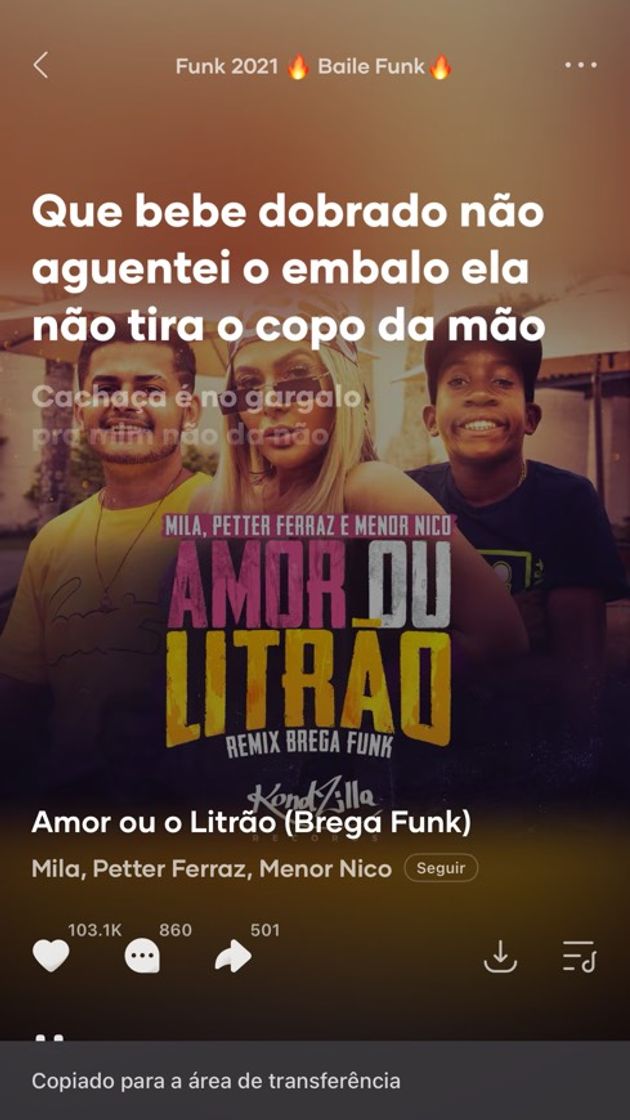 Fashion Amor ou litrão 