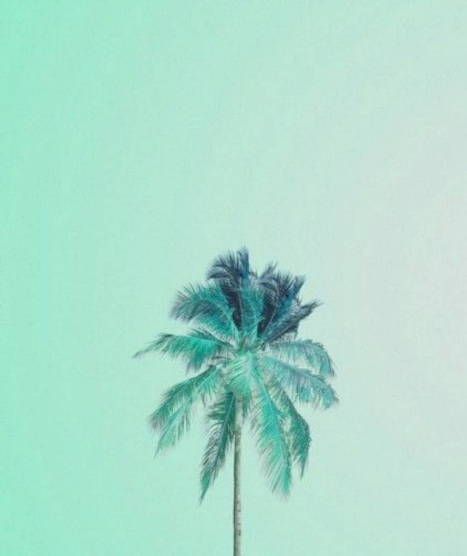 Moda 🌴 Wall Paper - Tumblr 