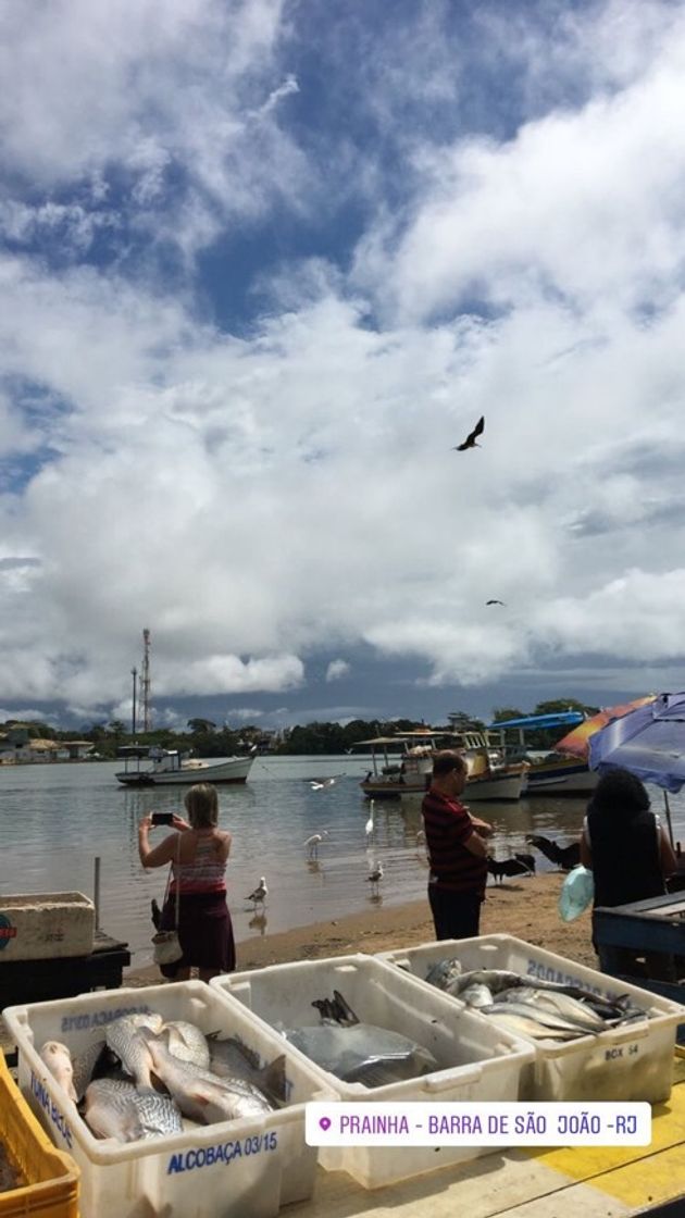 Place Barra de São João