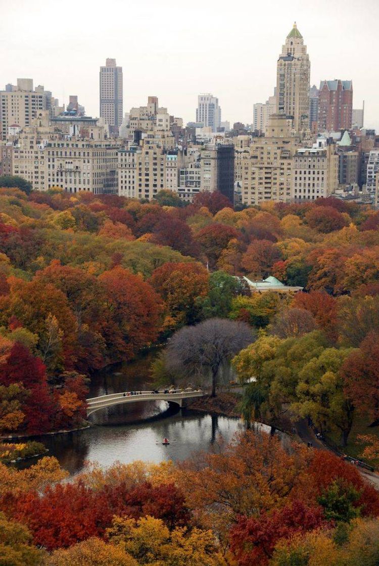 Moda Central park 🏞️