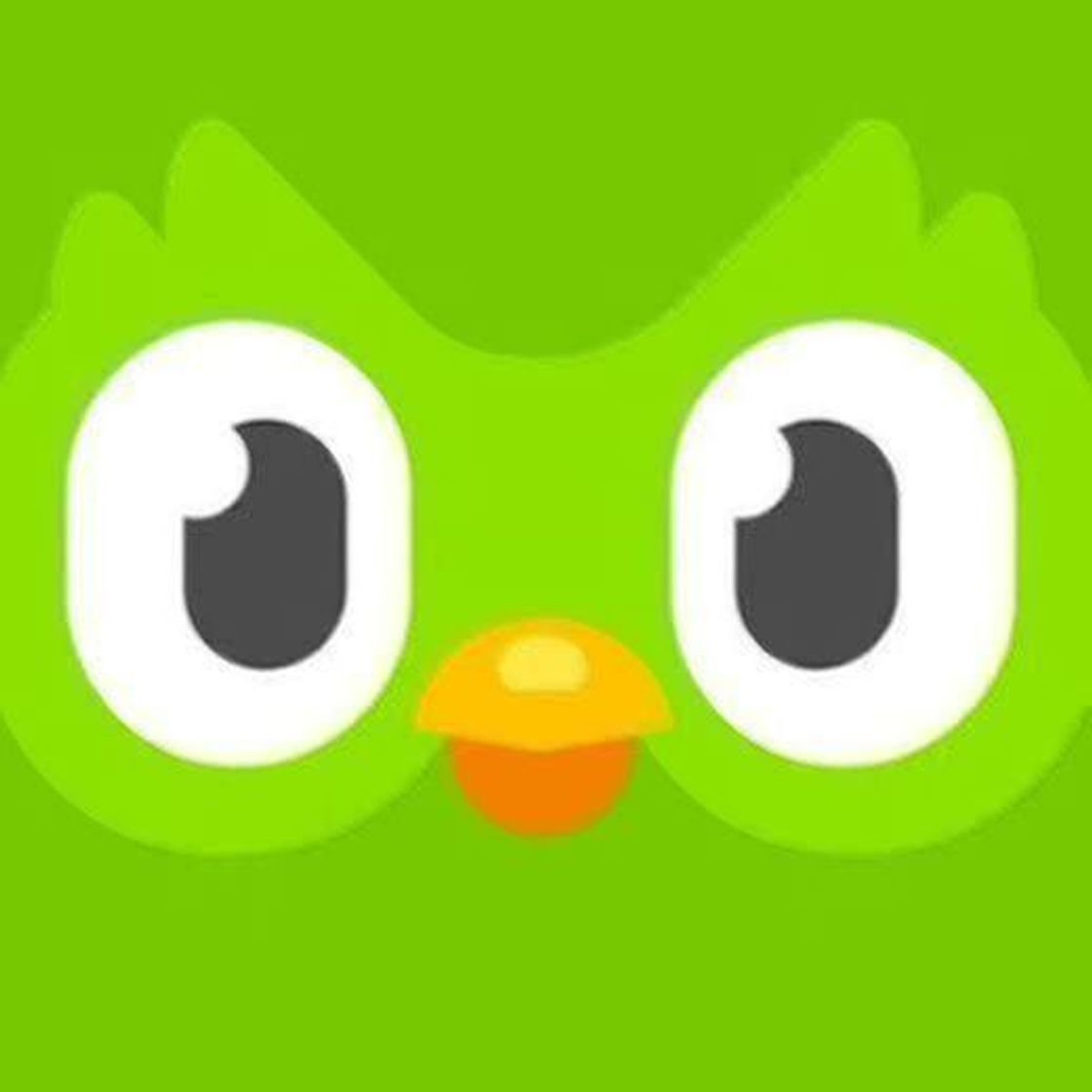 App Duolingo